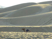 Désert du Thar - Inde